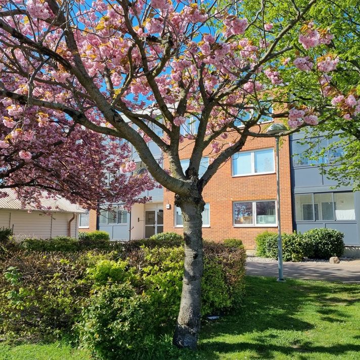 Sockenvägen 6 B, Trelleborg Öster - Foto 1