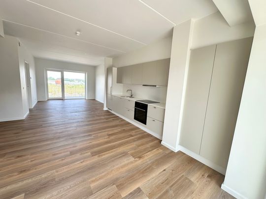 Moderne 2-værelses lejlighed med altan i Nørresundby - Photo 1