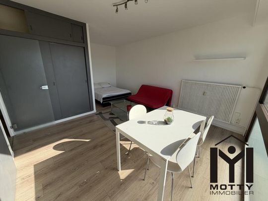 Location Appartement 1 pièce Meublé 25m² NANCY 54000 - Photo 1