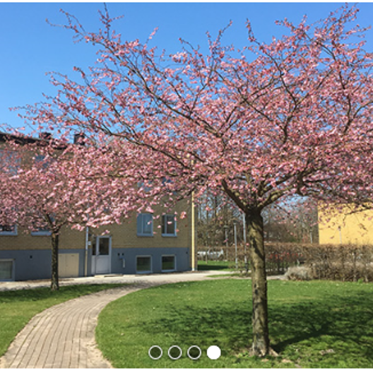 Norrevångsgatan 41 B, Vellinge - Photo 1