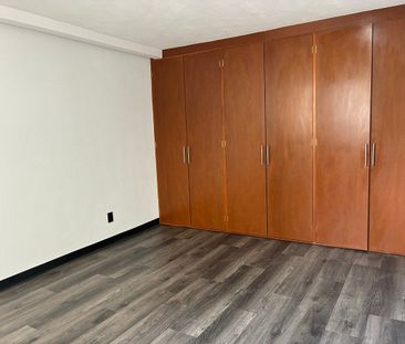 Departamento en Renta en DelValle Sur - Foto 5
