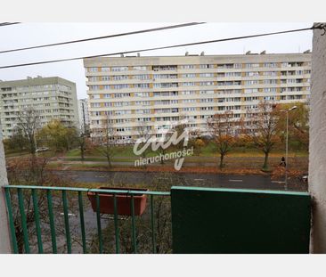 Szczecin - Фото 4