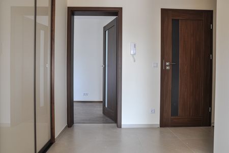 Mieszkanie 3 pokojowe wynajem okolice Malty Rataje - Photo 5