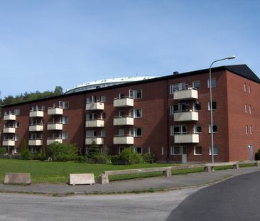 Galileis gata 19 - Foto 1