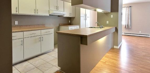 4 1/2 PAISIBLE, lumineux, rénové (LORETTEVILLE) - Photo 2