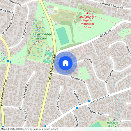 40 Lisa Rise, Half Moon Bay, Manukau City