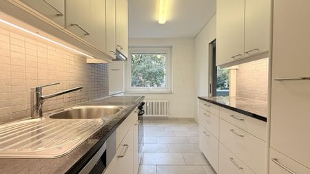 Zwischen dem Rhein, der Birs und dem St. Albanteich - Foto 2