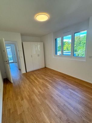 EXCEPTIONAL JEWEL IN PREGNY-CHAMBÉSY: 5.5 NEW PIECES (2022) RIGHT BANK! - Photo 1