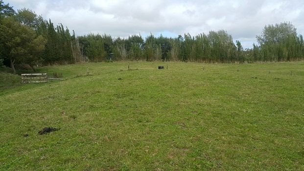 DRURY - Rural Oasis - 5 Acres - NO LETTING FEE - Photo 1