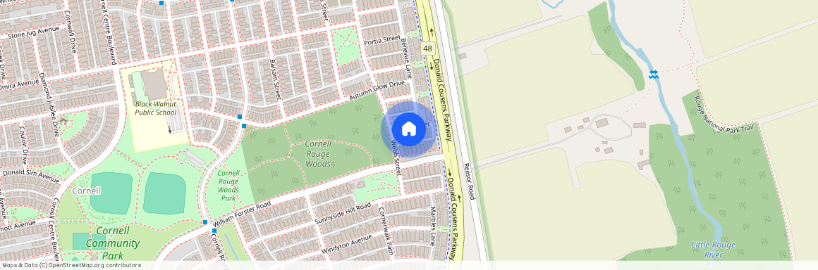 5 Bloom Street, Markham