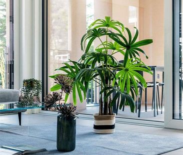 Neue 2.5-Zimmer-Wohnung mit Garten - Photo 3