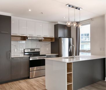 9675 Av. Papineau, app.402, H2B 3C8, H2B 3C8, Montréal - Photo 6