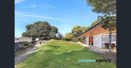 Let the sun shine in - Photo 4