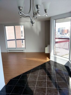 Le St-Laurent (100-110 Dollard-des-Ormeaux) - Photo 1