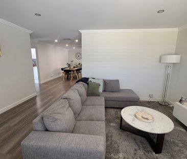 Marangaroo - Photo 5