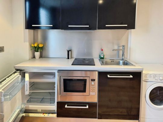 1 bedroom studio apartment to rent - Photo 1