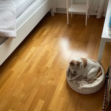 Upplands Väsby - 1rok - tillsv - 5.750kr/mån - Foto 1