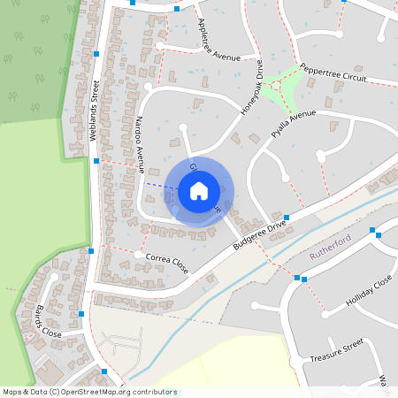 2, Ghilgai, Avenue, Aberglasslyn, 2320, New South Wales