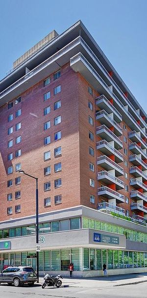 3 chambres - 1570 St-Timothée, Montréal - Photo 1