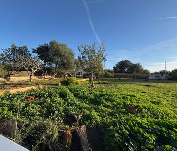 4 room luxury House for rent in Santa Eugènia, Balearic Islands - Photo 2