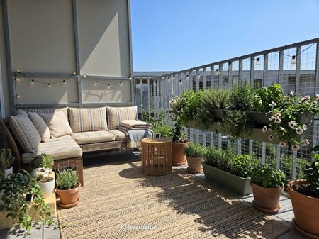 3 Zimmerwohnung im Welser Zentrum mit Balkon - Foto 5