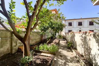 Casa semindipendente in affitto