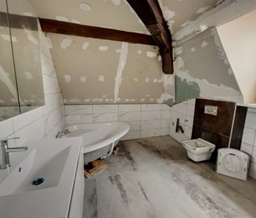 Location Appartement 1 pièce 22m² SELESTAT 67600 - Photo 6