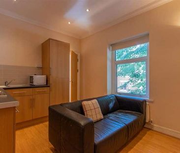 Llantwit Street, Cathays, CF24 - Photo 2