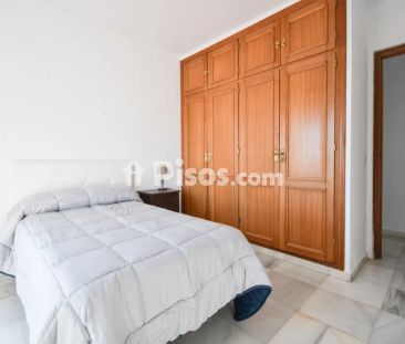 Chalet en alquiler en El Coto - Photo 3