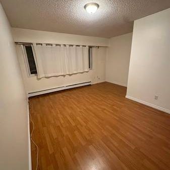 1 bedroom suite on Commercial drive - Photo 4