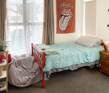 Apartment Living in Aro Valley - Photo 4