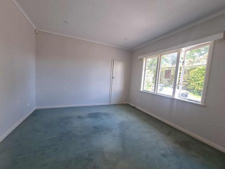 Nice Family Home in Hillsborough 4BR 2Bathroom - Photo 3