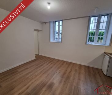 Location Appartement 1 pièce 19m² TOULOUSE 31000 - Photo 1