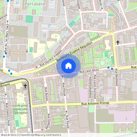 29 Rue Léon Blum, 69100 Villeurbanne