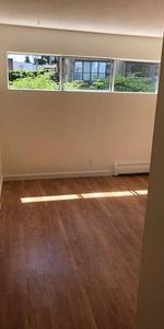 Newly Renovated 1 Bedroom at Pineview Place - Photo 3