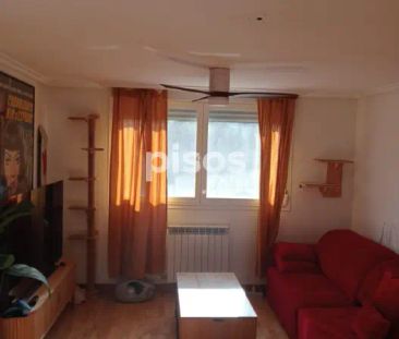 Piso en alquiler en Avenida del Costanazo - Foto 2