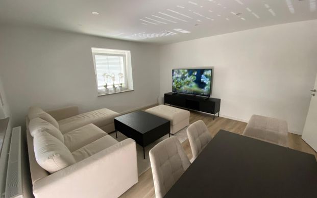 3-Zimmerwohnung mit Wlan, TV, Küche, Dusche/WC, Waschmaschine, Trockner, Balkon und Garage - Photo 1