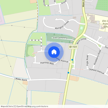 Henry Warby Avenue, Elm