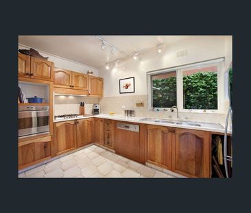 Open: Thu 19th Feb 12:30pm - 12:45pm - Photo 1