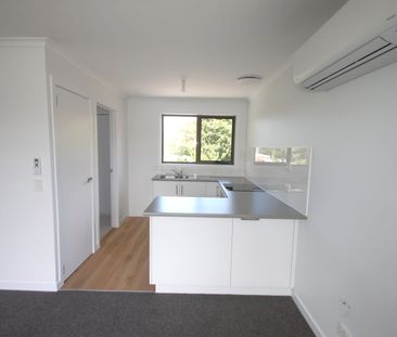 Fully Renovated Two Bedroom Unit - Photo 6