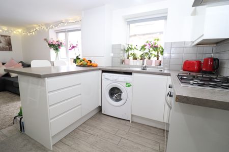 Gold Street, Adamsdown - Photo 4