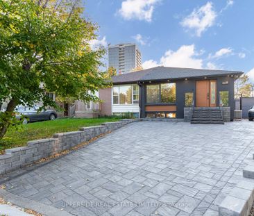 For Lease - Lower 61 Marlin Court, Newmarket, Ontario - Photo 6