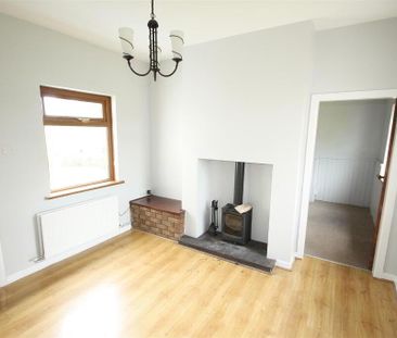 65 Creevyargon Road, Ballynahinch, BT24 8YF - Photo 6