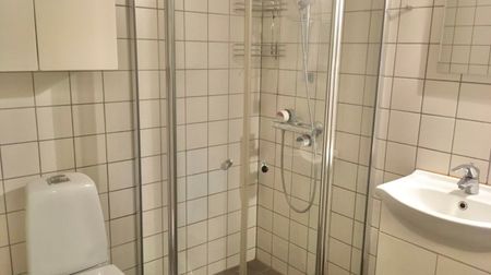 2 værelses – Horsetorvet 1, st. lejl. 5 – Odense C - Foto 5