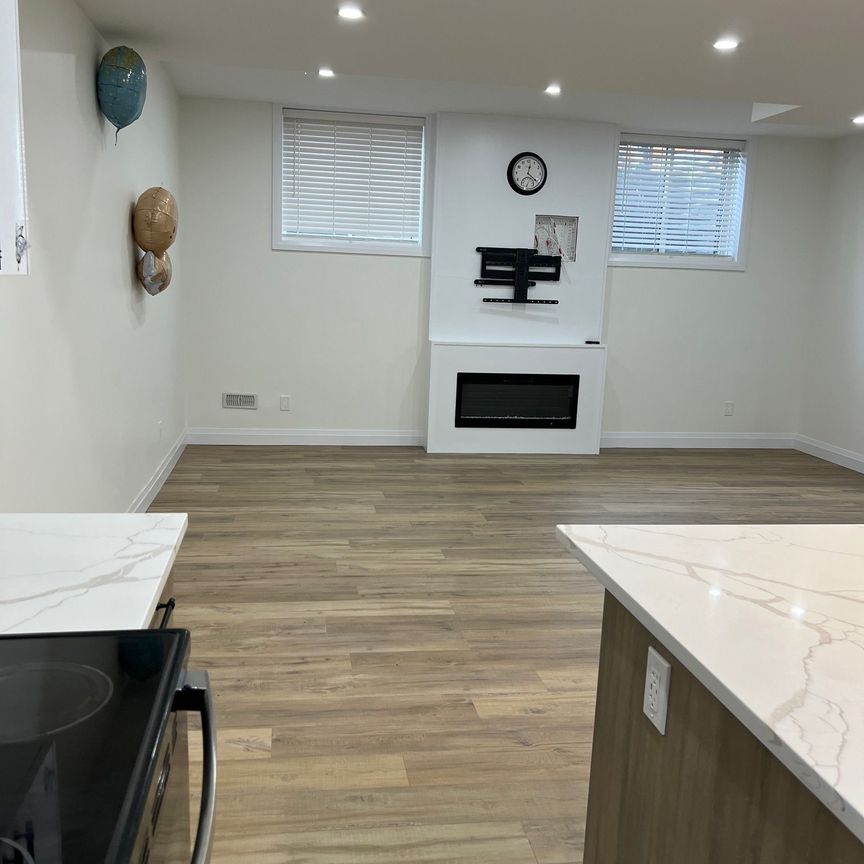 For Lease - 1304 Bush Hill Link Line Unit# BASEMENT, London North, Ontario - Photo 1