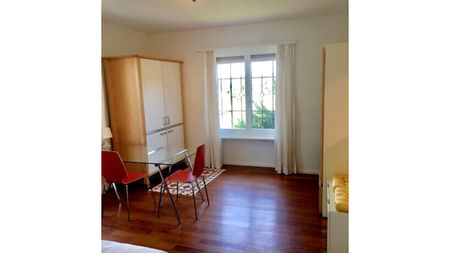 1 Zimmer-Wohnung in Liestal (BL), möbliert - Foto 3