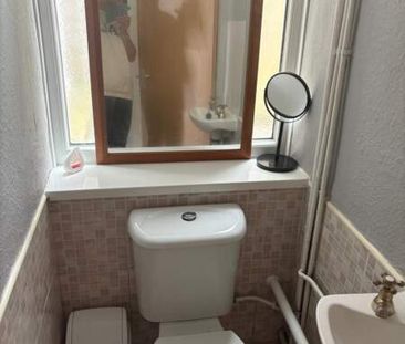 Large Double Room for Students & Professionals, Brynmill Avenue. - Photo 6