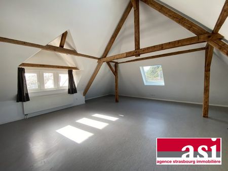 Spacieux 1 pièce type loft avec jardin - Photo 2