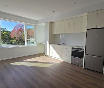 New North-facing studio with lots of sun - Photo 5