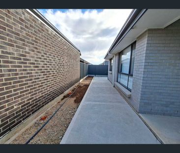8 Phoenix Avenue, Riverlea Park, SA 5120 - Photo 1